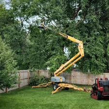 Best Emergency Tree Removal Services  in Emigration Canyon, UT